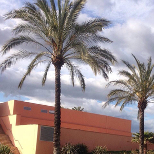 巴西妓女裸舞图片视频
