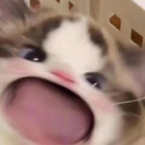 巴西妓女裸舞图片视频
