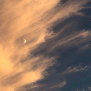 巴西妓女裸舞图片视频
