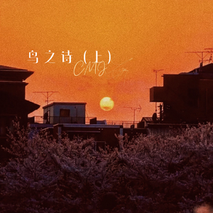 巴西妓女裸舞图片视频
