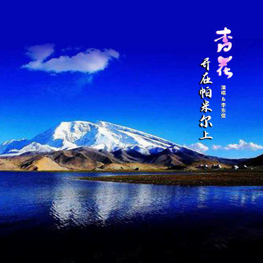 巴西妓女裸舞图片视频
